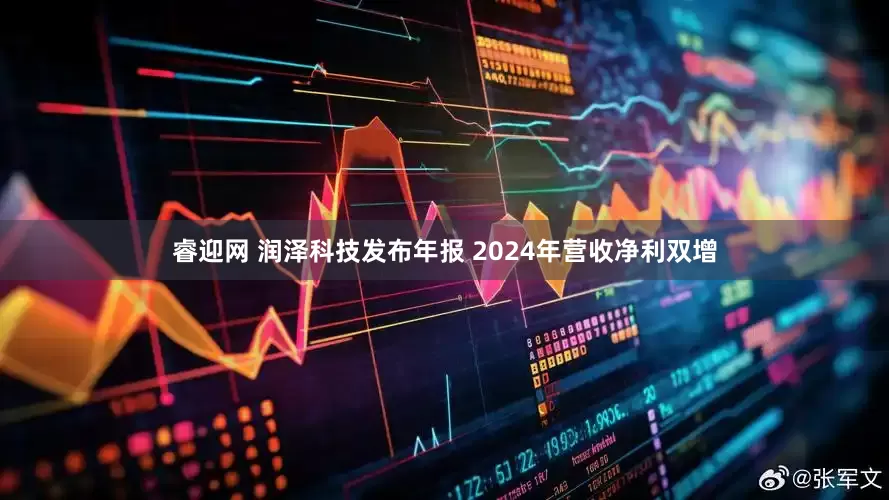 睿迎网 润泽科技发布年报 2024年营收净利双增