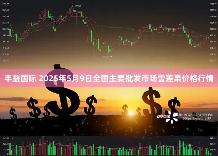 丰益国际 2025年5月9日全国主要批发市场雪莲果价格行情